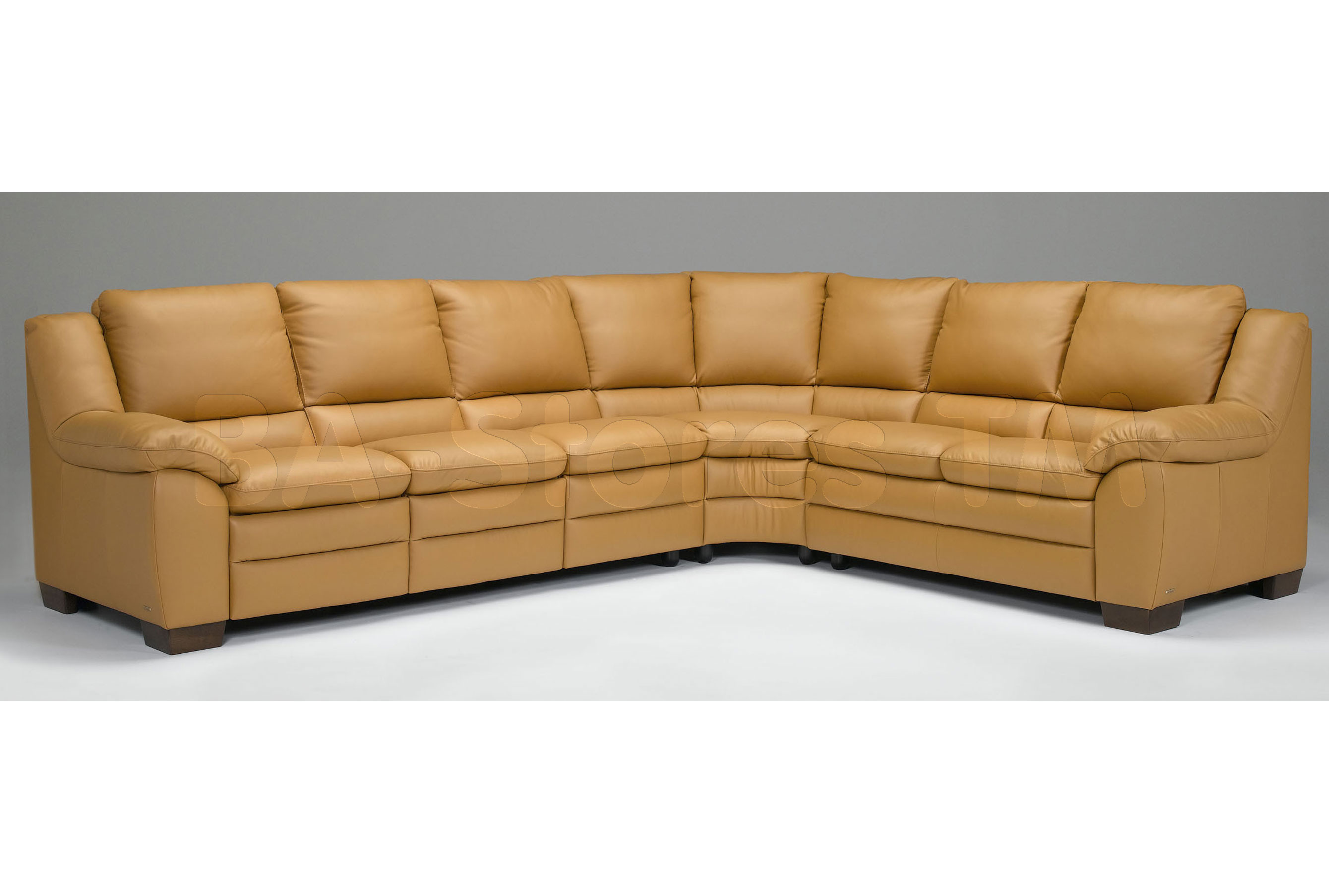 Prudenza A450 Top Grain Leather Power Sofas and Sectionals